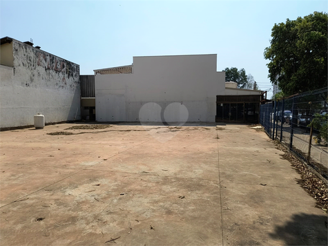 Foto REO1032847