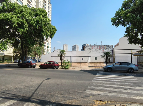 Foto REO1032847