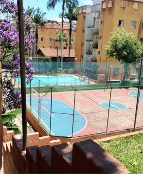 BOSQUE DAS ARAUCARIAS