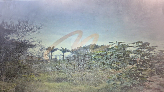CARAVELA PINTA