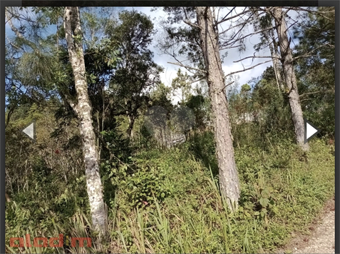 Foto REO1040180