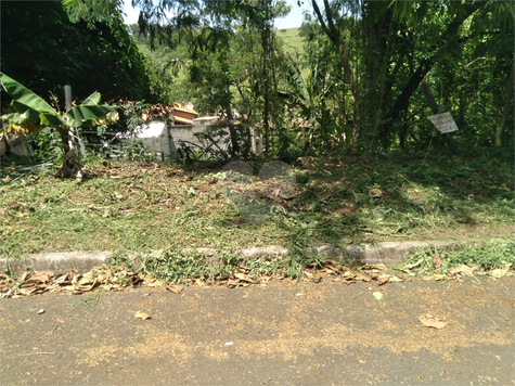 Foto REO1042125
