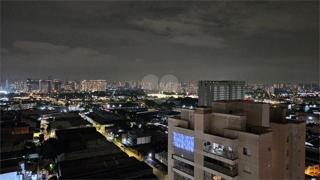 Aluguel Apartamento São Paulo Jardim Pereira Leite 1