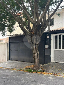 Foto REO1057478