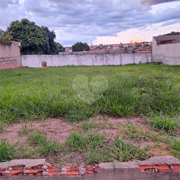 Foto REO1059080