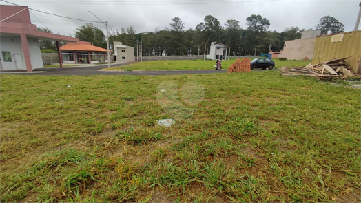Parque dos Pinheiros I