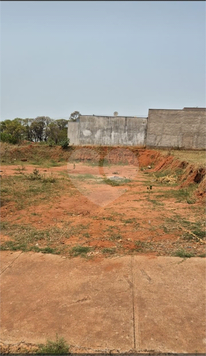 Foto REO1060696