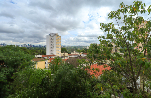 GREEN ALTO DE PINHEIROS