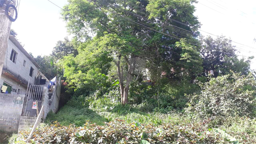 Foto REO1064627
