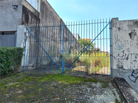 Foto REO1064788