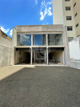 Foto REO1065659
