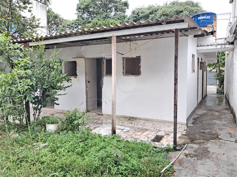 Foto REO1066196