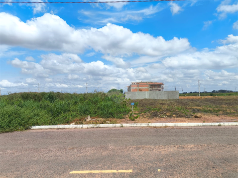 Foto REO1066655