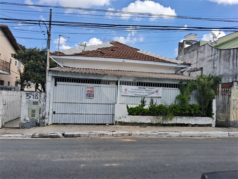 Foto REO1066875
