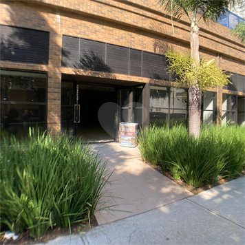 Lumiere Studios