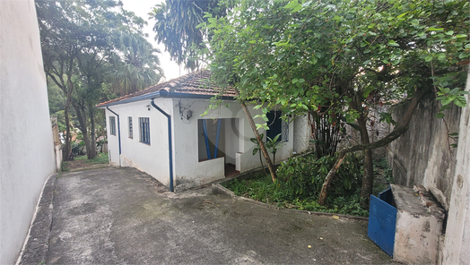 Foto REO1066979