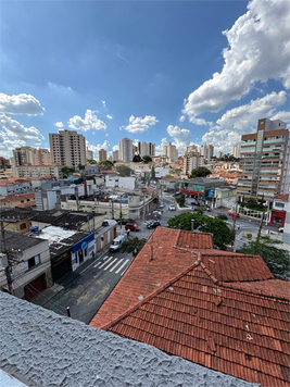 Max Paulicéia