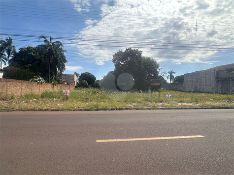 Foto REO1069282