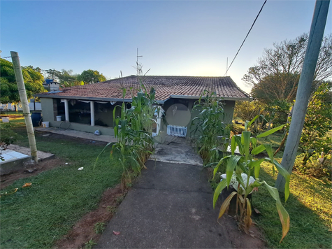 Foto REO1072359