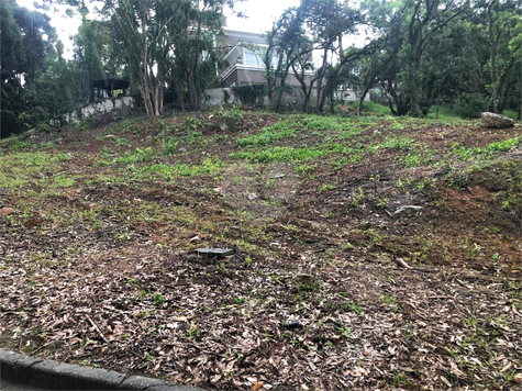 Foto REO1072601
