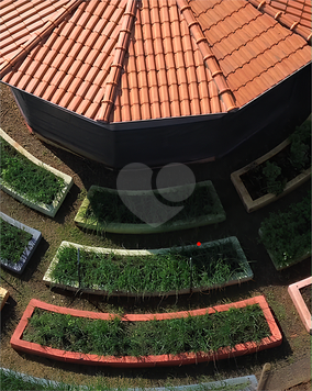 Fazenda Morro Azul de Nossa Senhora