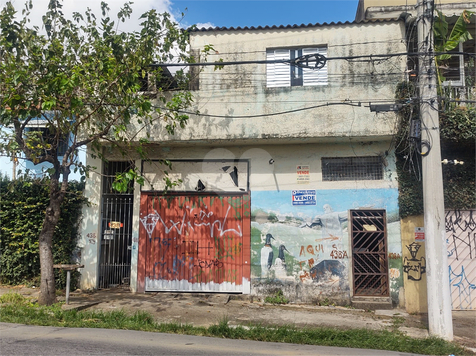 Foto REO1075383