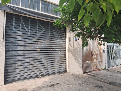 Foto REO1075553