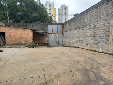 Foto REO1075752