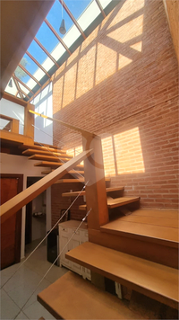 Foto REO1076052