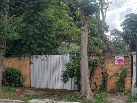 Foto REO1076271