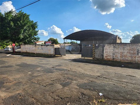 Foto REO1076327