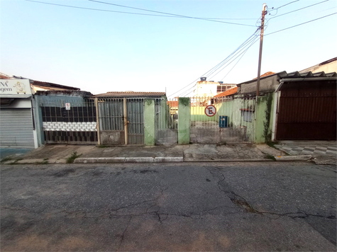 Foto REO1078767