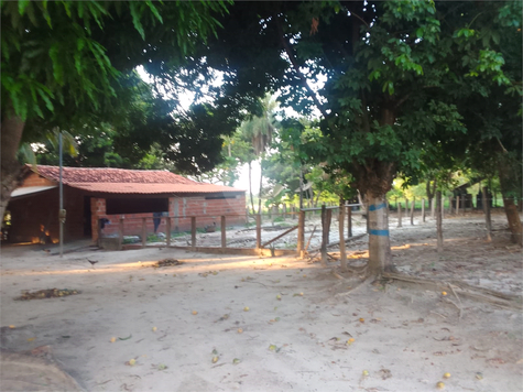 Foto REO1078950