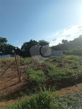 Foto REO1079896