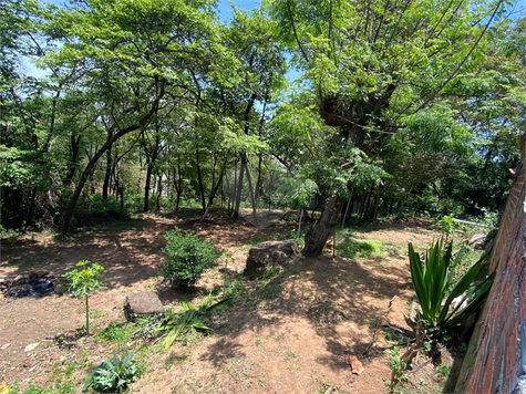 Foto REO1080006