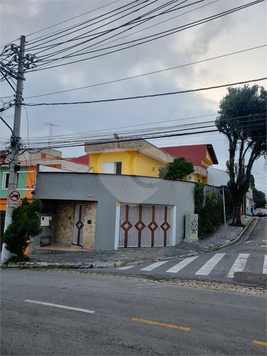 Foto REO1081306