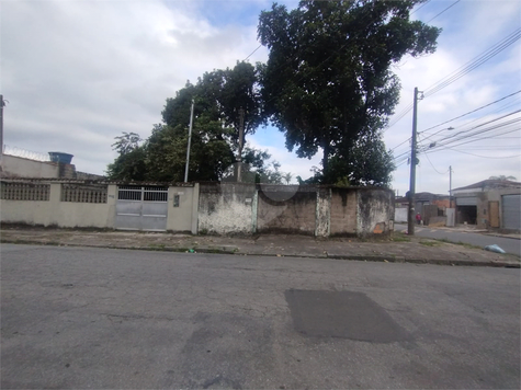 Foto REO1081777
