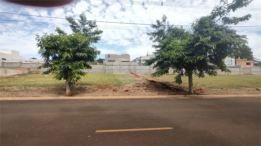 Foto REO1081786