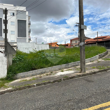 Foto REO1082263