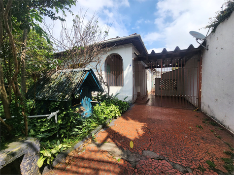 Foto REO1083018