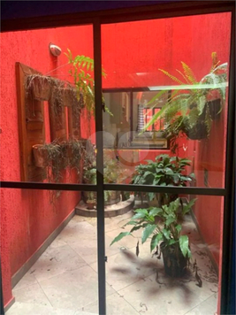 Foto REO1083048