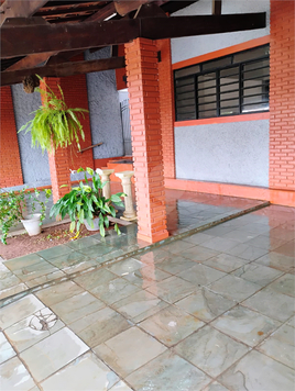 Foto REO1083487