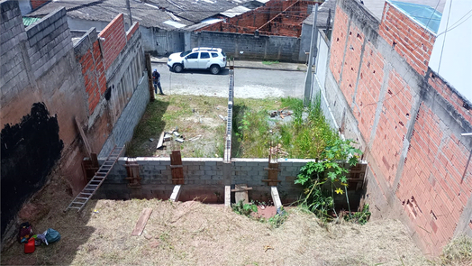 Foto REO1083522