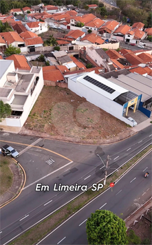 Foto REO1084611