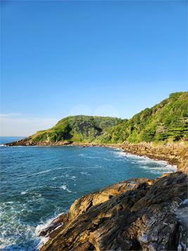 Costão Das Tartarugas