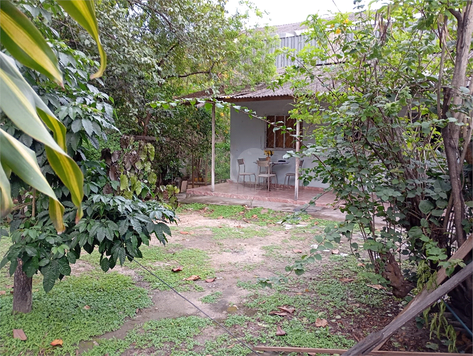 Foto REO1084791