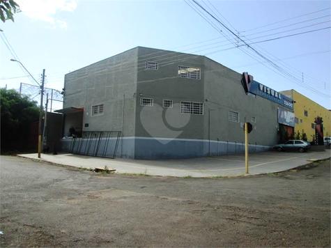 Foto REO1084956