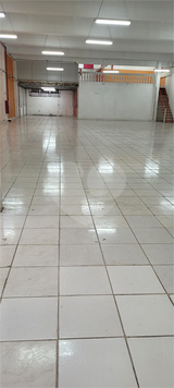Foto REO1085639