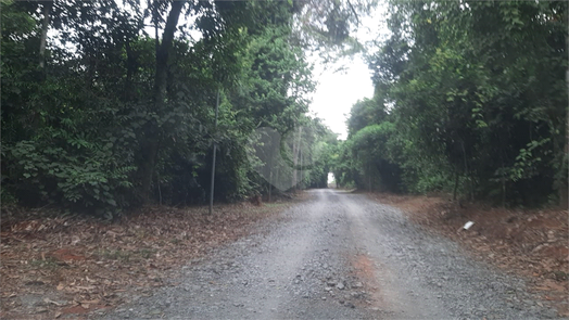 Foto REO1085719
