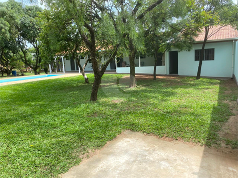 Foto REO1086628